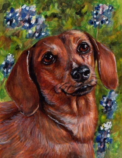 Dachshund Bluebonnets Dog Watercolor Carol Wells