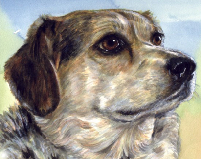 Dog Watercolor Portrait Carol Wells
