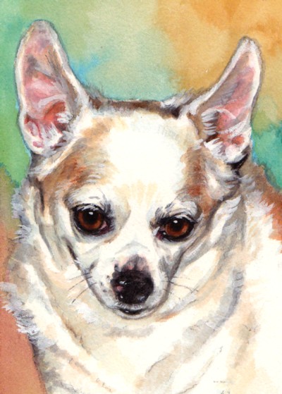 Chihuahua Dog Watercolor Carol Wells