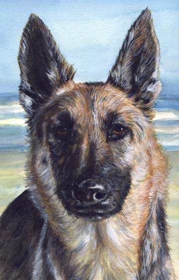 German Shepherd Dog Beach Watercolor Pet Portrait Carol Wells