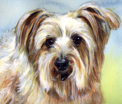 Dog Pet Watercolor Portrait Carol Wells