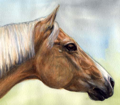 Palomino Horse Watercolor Carol Wells