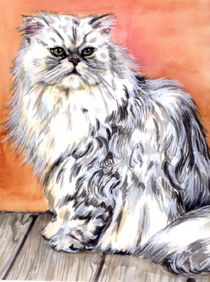 White Persian Cat Watercolor Carol Wells