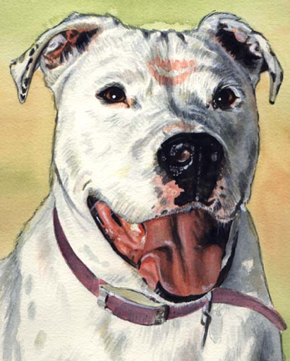 Pit Bull Terrier Dog Kiss Watercolor Pet Portrait Carol Wells
