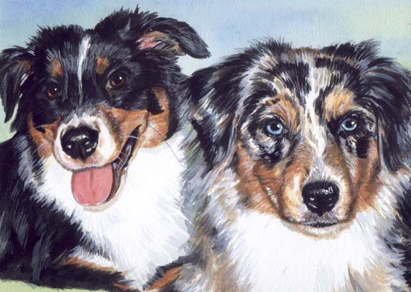 Australian Shepherd Dogs Watercolor Portrait Carol Wells