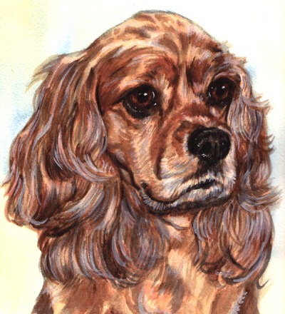 Cocker Spaniel Watercolor Pet Portrait Carol Wells
