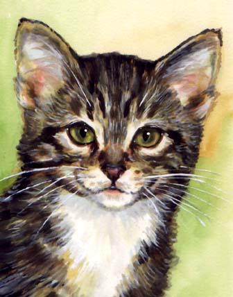 Tabby Kitten Watercolor Carol Wells