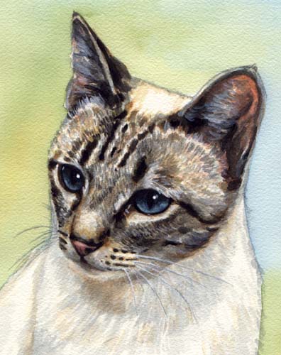 Cat Blue Eyes Watercolor Carol Wells